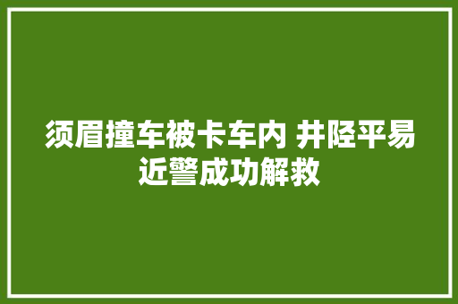 须眉撞车被卡车内 井陉平易近警成功解救