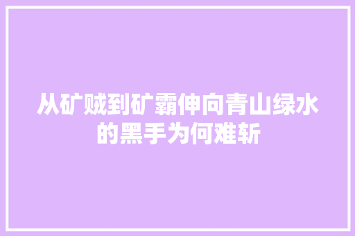 从矿贼到矿霸伸向青山绿水的黑手为何难斩