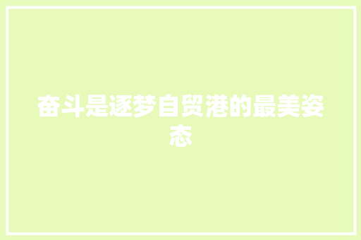 奋斗是逐梦自贸港的最美姿态