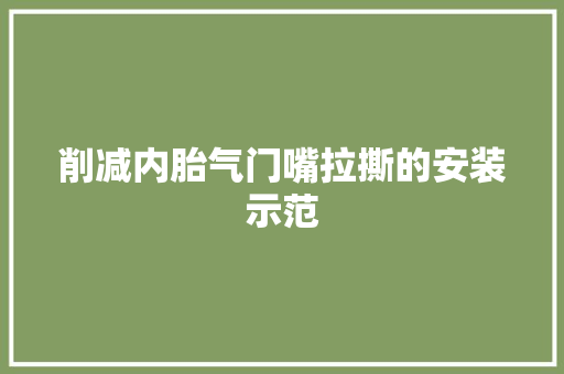 削减内胎气门嘴拉撕的安装示范