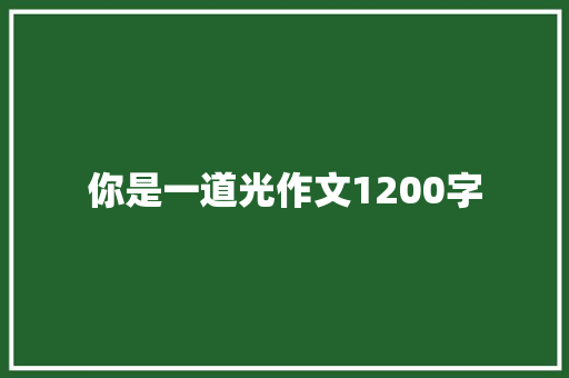 你是一道光作文1200字