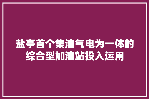 盐亭首个集油气电为一体的综合型加油站投入运用