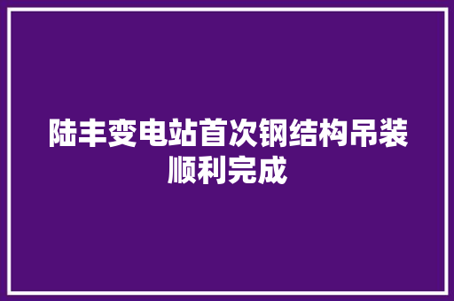 陆丰变电站首次钢结构吊装顺利完成