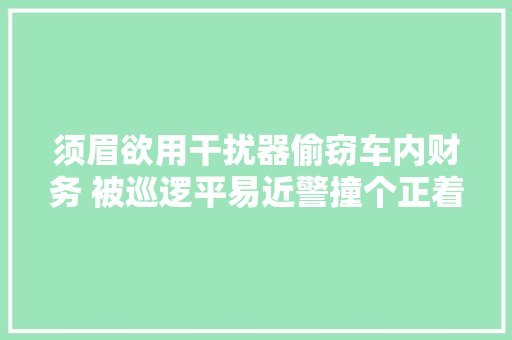 须眉欲用干扰器偷窃车内财务 被巡逻平易近警撞个正着