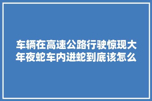 车辆在高速公路行驶惊现大年夜蛇车内进蛇到底该怎么办