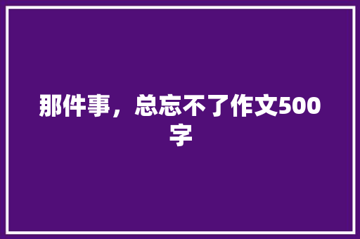 那件事，总忘不了作文500字