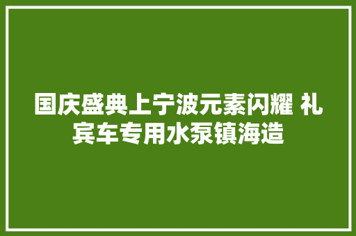 国庆盛典上宁波元素闪耀 礼宾车专用水泵镇海造
