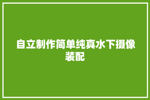 自立制作简单纯真水下摄像装配 汽车知识