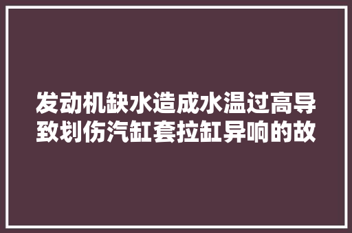 发动机缺水造成水温过高导致划伤汽缸套拉缸异响的故障案例
