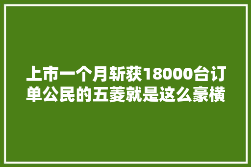 上市一个月斩获18000台订单公民的五菱就是这么豪横