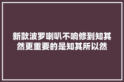 新款波罗喇叭不响修到知其然更重要的是知其所以然