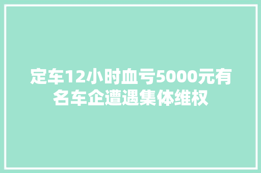 定车12小时血亏5000元有名车企遭遇集体维权