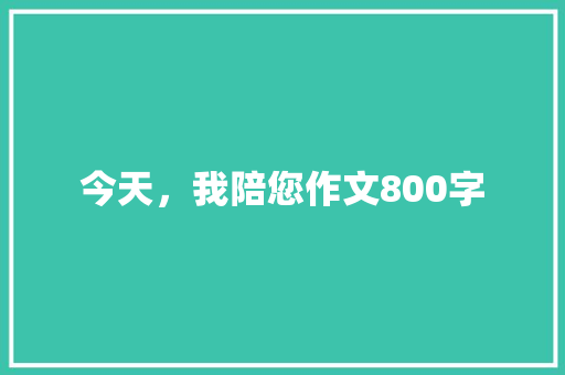 今天，我陪您作文800字