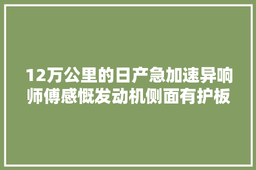 12万公里的日产急加速异响师傅感慨发动机侧面有护板就好了