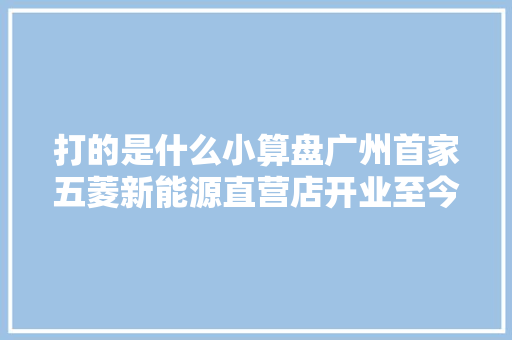打的是什么小算盘广州首家五菱新能源直营店开业至今获百单