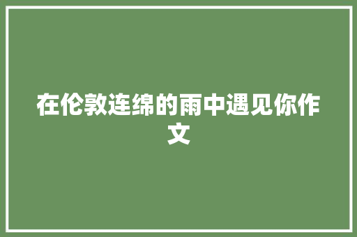 在伦敦连绵的雨中遇见你作文