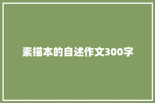 素描本的自述作文300字