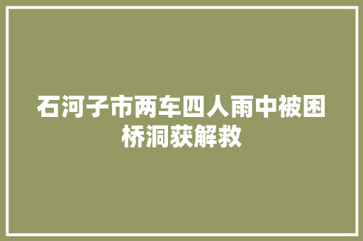 石河子市两车四人雨中被困桥洞获解救