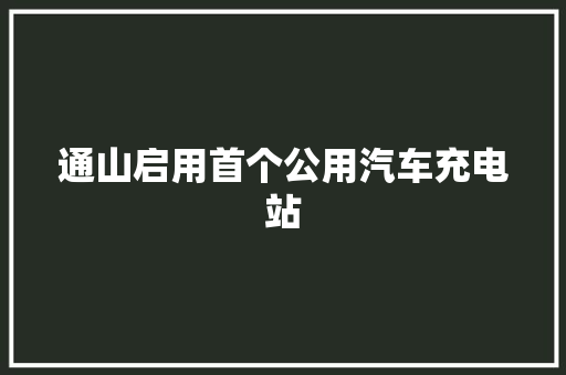 通山启用首个公用汽车充电站