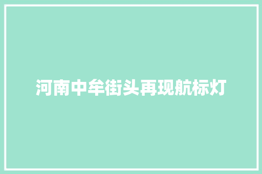 河南中牟街头再现航标灯