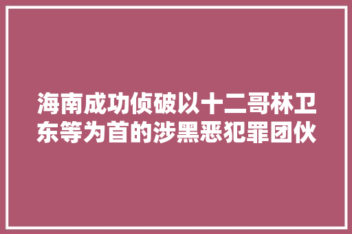 海南成功侦破以十二哥林卫东等为首的涉黑恶犯罪团伙