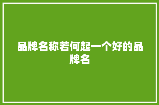 品牌名称若何起一个好的品牌名