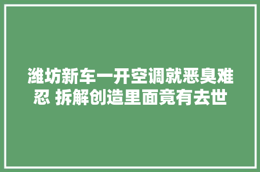 潍坊新车一开空调就恶臭难忍 拆解创造里面竟有去世老鼠
