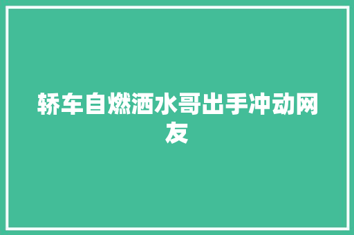 轿车自燃洒水哥出手冲动网友 汽车知识