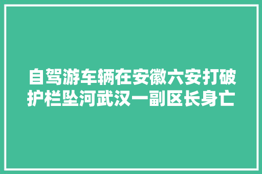 自驾游车辆在安徽六安打破护栏坠河武汉一副区长身亡