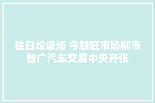 往日垃圾场 今朝旺市场柳市智广汽车交易中央开张
