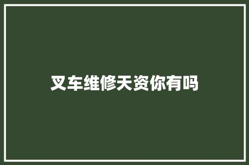 叉车维修天资你有吗