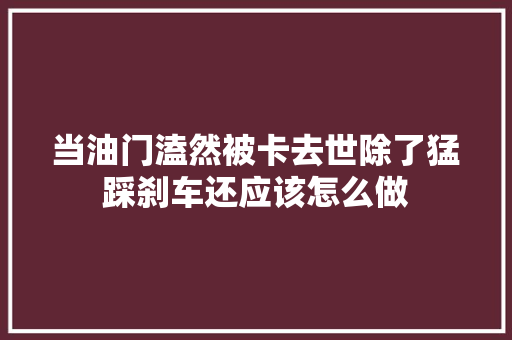 当油门溘然被卡去世除了猛踩刹车还应该怎么做