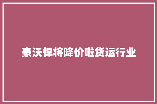 豪沃悍将降价啦货运行业