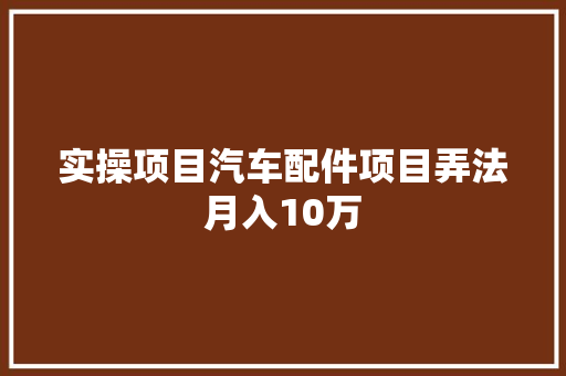 实操项目汽车配件项目弄法月入10万