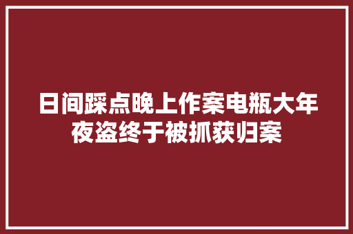 日间踩点晚上作案电瓶大年夜盗终于被抓获归案
