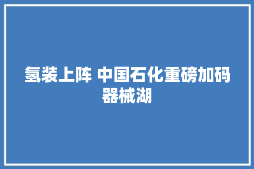 氢装上阵 中国石化重磅加码器械湖 汽车知识
