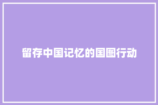 留存中国记忆的国图行动