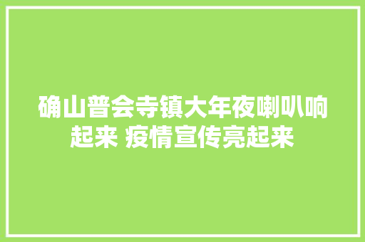 确山普会寺镇大年夜喇叭响起来 疫情宣传亮起来