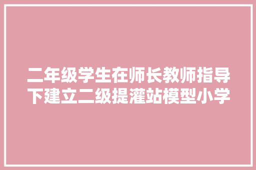 二年级学生在师长教师指导下建立二级提灌站模型小学生实践
