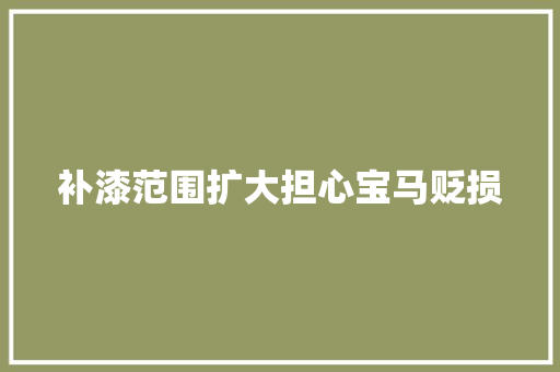 补漆范围扩大担心宝马贬损