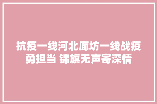 抗疫一线河北廊坊一线战疫勇担当 锦旗无声寄深情