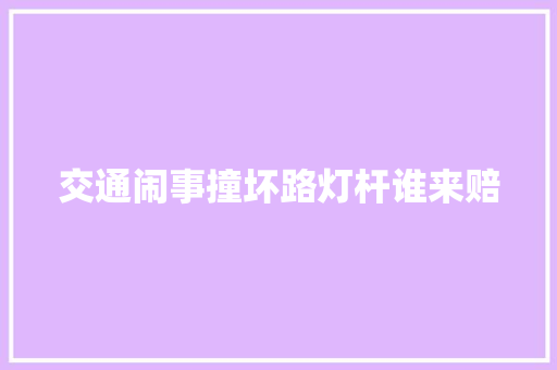 交通闹事撞坏路灯杆谁来赔