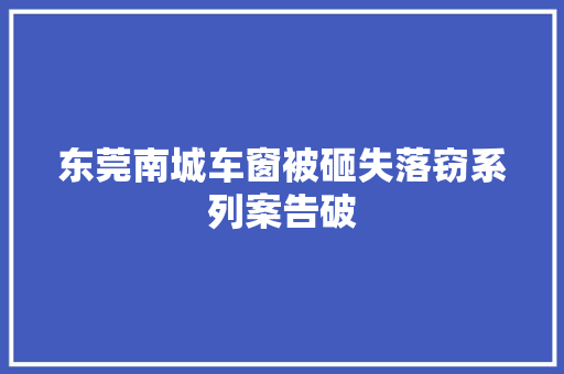 东莞南城车窗被砸失落窃系列案告破 汽车知识