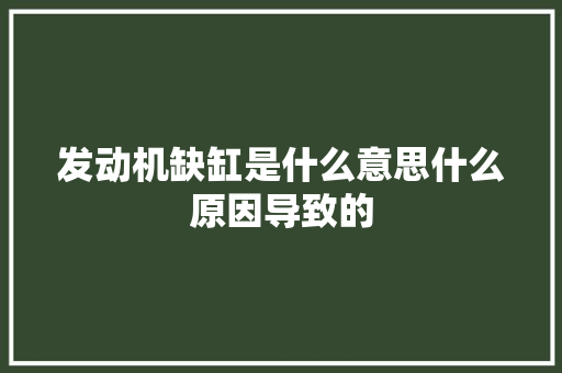 发动机缺缸是什么意思什么原因导致的