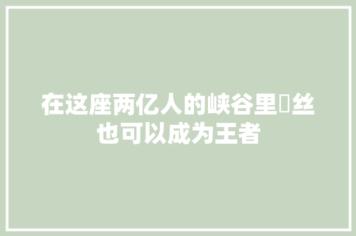 在这座两亿人的峡谷里屌丝也可以成为王者 汽车知识