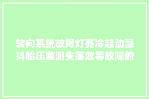 转向系统故障灯亮冷起动颤抖胎压监测失落效等故障的清除 汽车知识