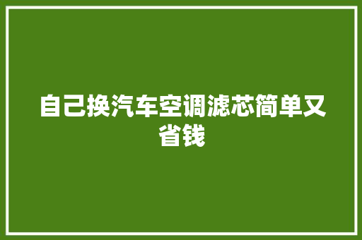自己换汽车空调滤芯简单又省钱