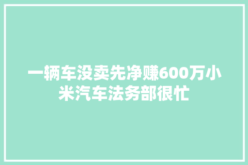 一辆车没卖先净赚600万小米汽车法务部很忙