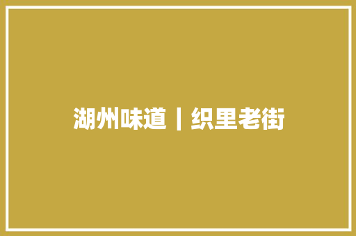 湖州味道｜织里老街