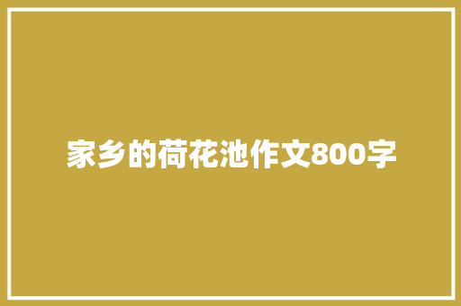 家乡的荷花池作文800字